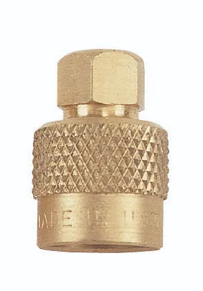 Large Bore Hex Valve Cap